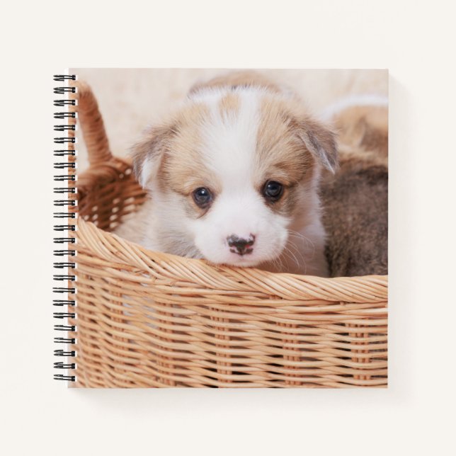 Niedliche Kleintiere | Corgi Tiny Puppy Notizbuch (Vorderseite)