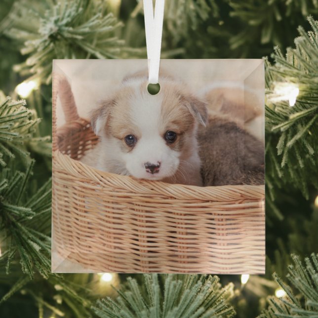 Niedliche Kleintiere | Corgi Tiny Puppy Ornament Aus Glas (Insitu)