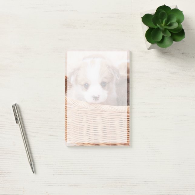 Niedliche Kleintiere | Corgi Tiny Puppy Post-it Klebezettel (Büro)