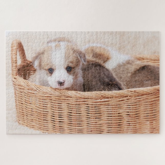 Niedliche Kleintiere | Corgi Tiny Puppy Puzzle (Horizontal)