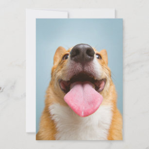 Niedliche Kleintiere Corgi Tongue Dankeskarte