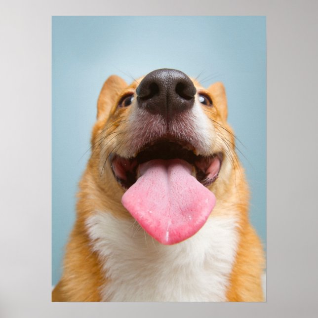 Niedliche Kleintiere | Corgi Tongue Poster (Vorne)