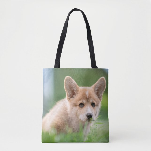 Niedliche Kleintiere | Corgi Welpe im Garten (Vorderseite)