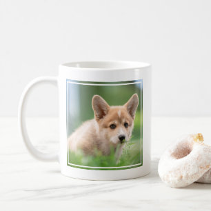 Niedliche Kleintiere Corgi Welpe im Garten Kaffeetasse