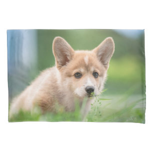 Niedliche Kleintiere   Corgi Welpe im Garten Kissenbezug