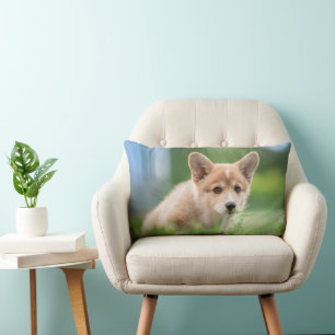 Niedliche Kleintiere   Corgi Welpe im Garten Lendenkissen