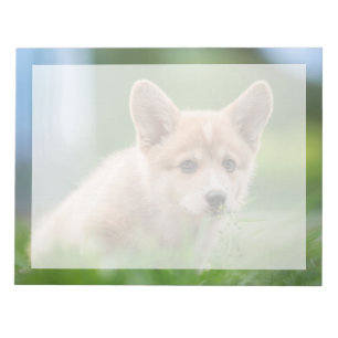 Niedliche Kleintiere   Corgi Welpe im Garten Notizblock