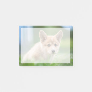 Niedliche Kleintiere   Corgi Welpe im Garten Post-it Klebezettel