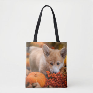Niedliche Kleintiere   Corgi Welpe im Herbst