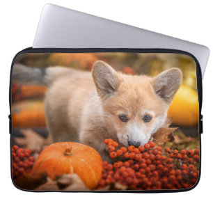 Niedliche Kleintiere   Corgi Welpe im Herbst Laptopschutzhülle