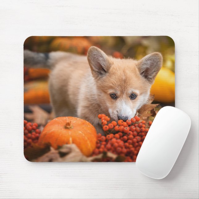 Niedliche Kleintiere | Corgi Welpe im Herbst Mousepad (Mit Mouse)
