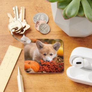 Niedliche Kleintiere Corgi Welpe im Herbst Schlüsselanhänger