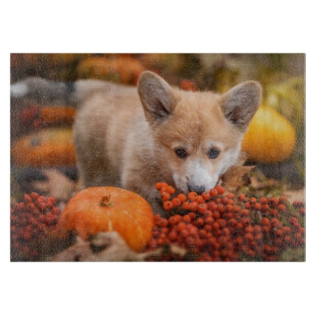 Niedliche Kleintiere | Corgi Welpe im Herbst Schneidebrett (Vorderseite)