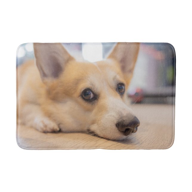 Niedliche Kleintiere | Corgi Welppy auf Floor Badematte (Vorderseite)