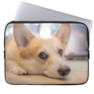 Niedliche Kleintiere   Corgi Welppy auf Floor Laptopschutzhülle