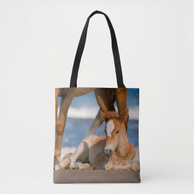 Niedliche Kleintiere | Corolla Wild Horse (Vorderseite)