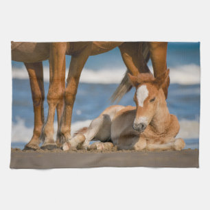 Niedliche Kleintiere   Corolla Wild Horse Geschirrtuch