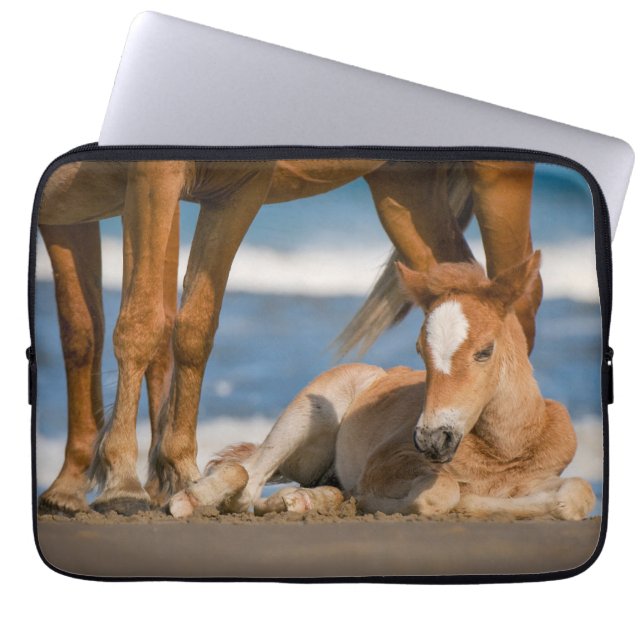 Niedliche Kleintiere | Corolla Wild Horse Laptopschutzhülle (Vorderseite)