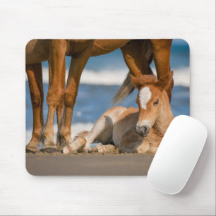 Niedliche Kleintiere   Corolla Wild Horse Mousepad