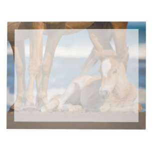 Niedliche Kleintiere   Corolla Wild Horse Notizblock