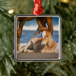 Niedliche Kleintiere Corolla Wild Horse Ornament Aus Metall