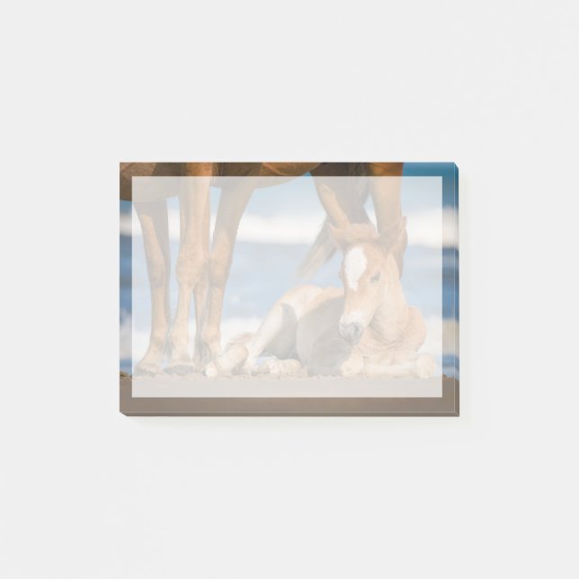 Niedliche Kleintiere | Corolla Wild Horse Post-it Klebezettel (Vorderseite)