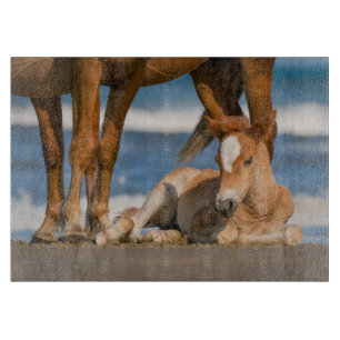 Niedliche Kleintiere   Corolla Wild Horse Schneidebrett