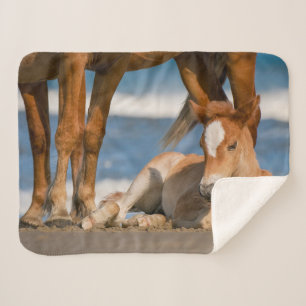 Niedliche Kleintiere Corolla Wild Horse Sherpadecke