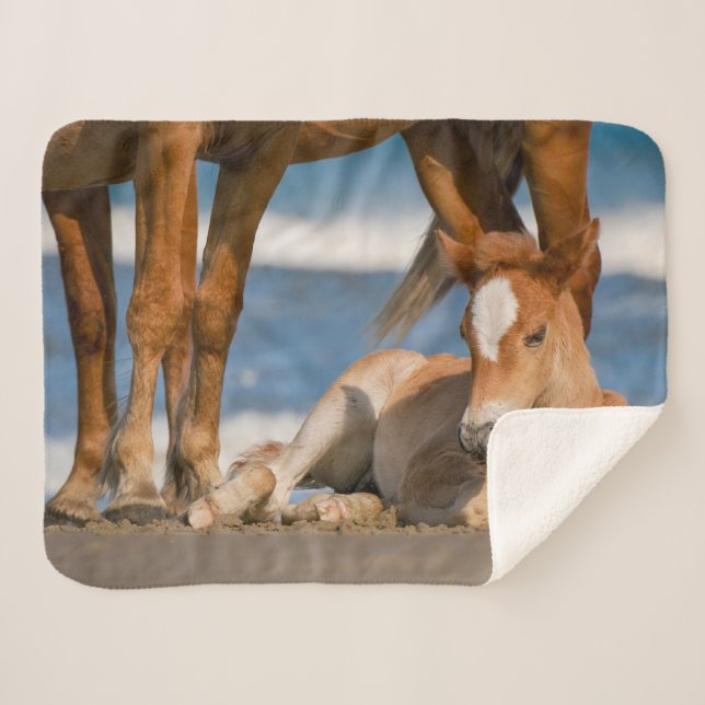 Niedliche Kleintiere | Corolla Wild Horse Sherpadecke (Vorderseite (Horizontal))