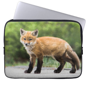 Niedliche Kleintiere   Cutey Fox Laptopschutzhülle