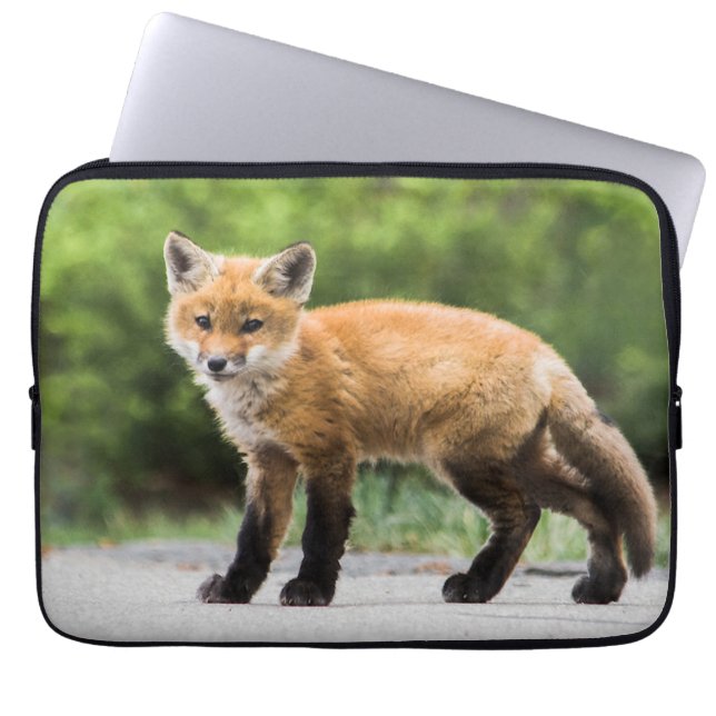 Niedliche Kleintiere | Cutey Fox Laptopschutzhülle (Vorderseite)