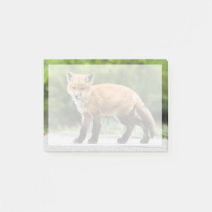 Niedliche Kleintiere Cutey Fox Post-it Klebezettel