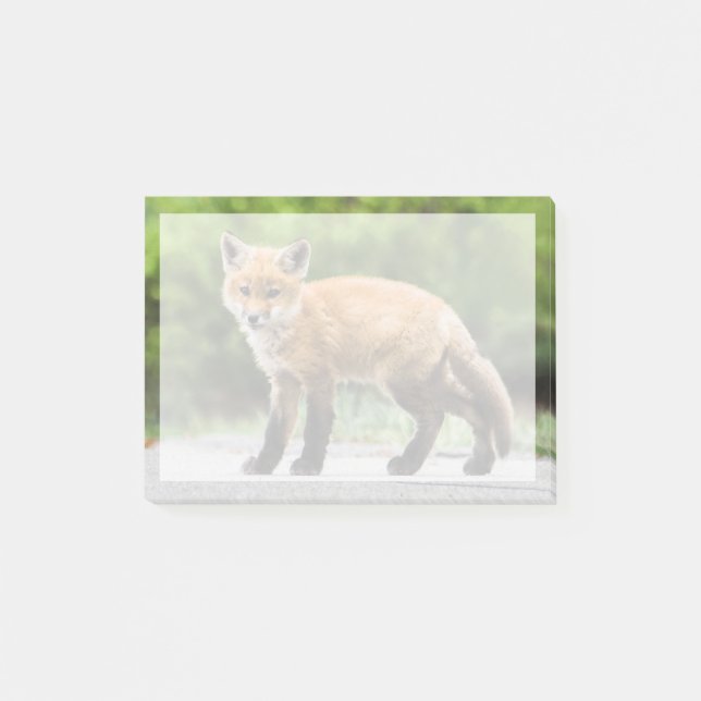 Niedliche Kleintiere | Cutey Fox Post-it Klebezettel (Vorderseite)