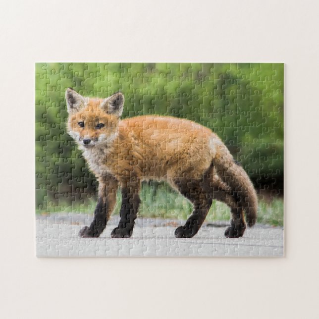 Niedliche Kleintiere | Cutey Fox Puzzle (Horizontal)