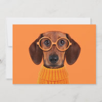 Niedliche Kleintiere | Dackel Orange Sweater