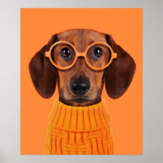 Niedliche Kleintiere | Dackel Orange Sweater Poster (Vorne)