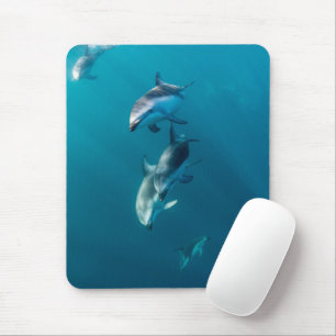 Niedliche Kleintiere   Dolphin-Familie Mousepad