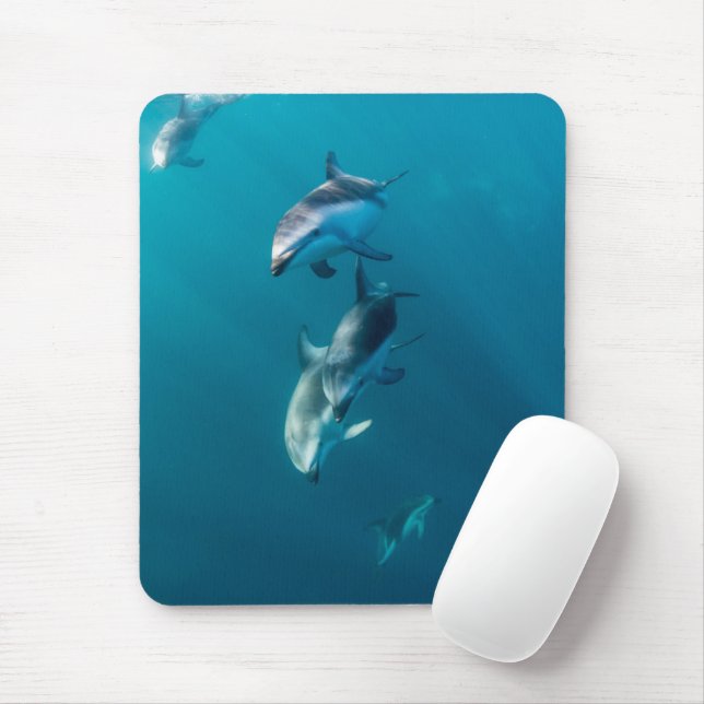 Niedliche Kleintiere | Dolphin-Familie Mousepad (Mit Mouse)