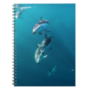 Niedliche Kleintiere   Dolphin-Familie Notizblock