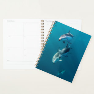 Niedliche Kleintiere   Dolphin-Familie Planer