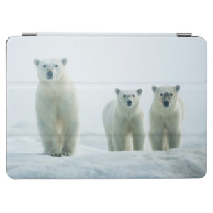 Niedliche Kleintiere   Drei junge Polarbären iPad Air Hülle