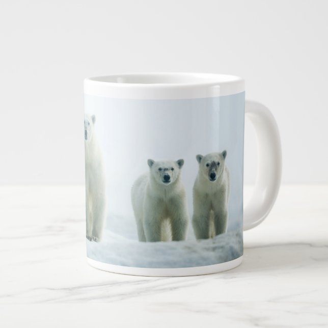 Niedliche Kleintiere | Drei junge Polarbären Jumbo-Tasse (Vorderseite Rechts)