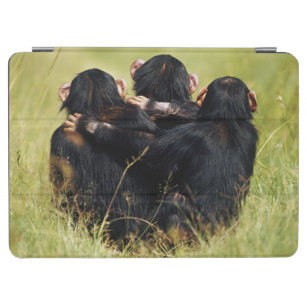 Niedliche Kleintiere   Drei Schimpansen umarmt iPad Air Hülle