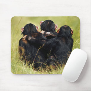 Niedliche Kleintiere   Drei Schimpansen umarmt Mousepad