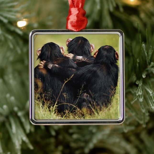 Niedliche Kleintiere | Drei Schimpansen umarmt Ornament Aus Metall (Baum)