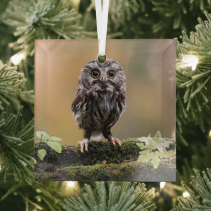Niedliche Kleintiere Ein Baby Ornament Aus Glas