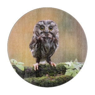 Niedliche Kleintiere Ein Baby Schneidebrett