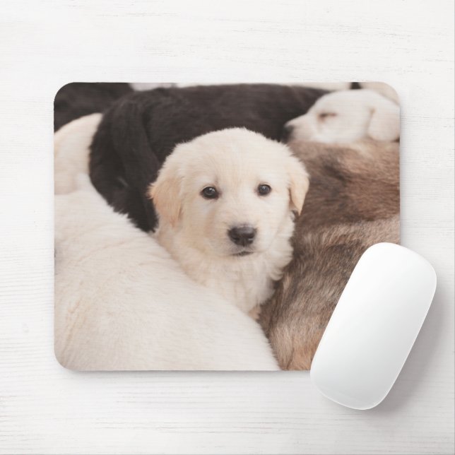Niedliche Kleintiere | Ein Niedlicher Haufen Welpe Mousepad (Mit Mouse)