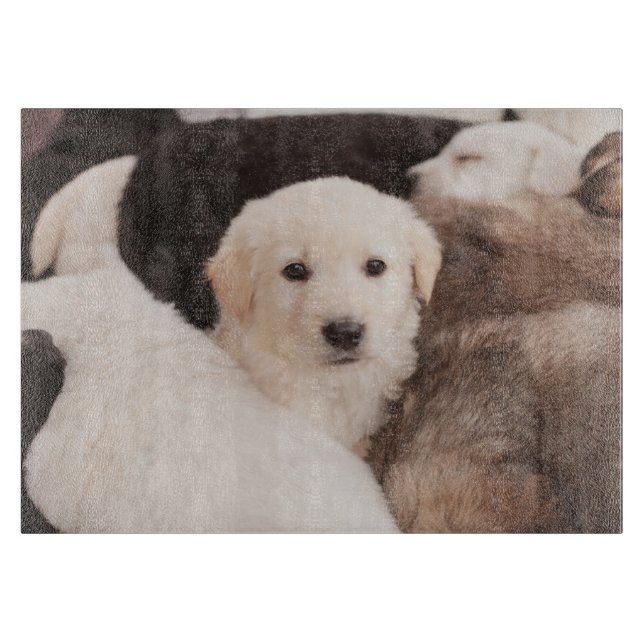 Niedliche Kleintiere | Ein Niedlicher Haufen Welpe Schneidebrett (Vorderseite)