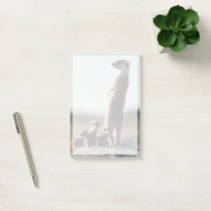 Niedliche Kleintiere   Eine Familie der Meerkats Post-it Klebezettel